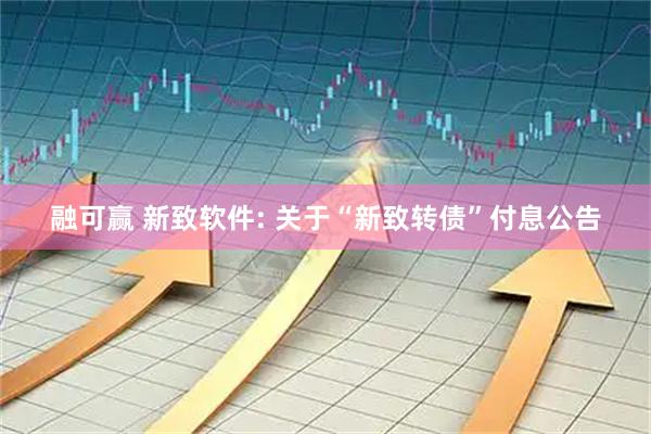 融可赢 新致软件: 关于“新致转债”付息公告