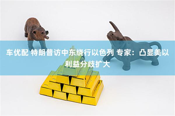 车优配 特朗普访中东绕行以色列 专家：凸显美以利益分歧扩大