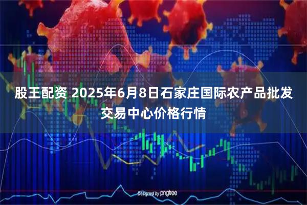 股王配资 2025年6月8日石家庄国际农产品批发交易中心价格行情