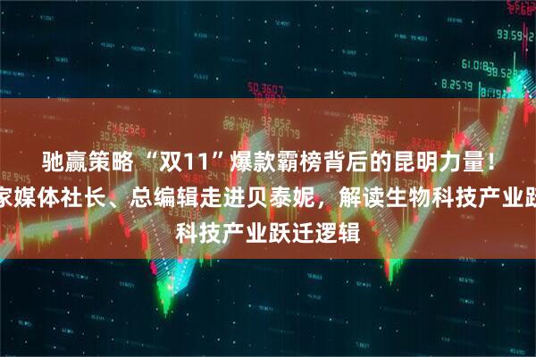 驰赢策略 “双11”爆款霸榜背后的昆明力量！全国百家媒体社长、总编辑走进贝泰妮，解读生物科技产业跃迁逻辑
