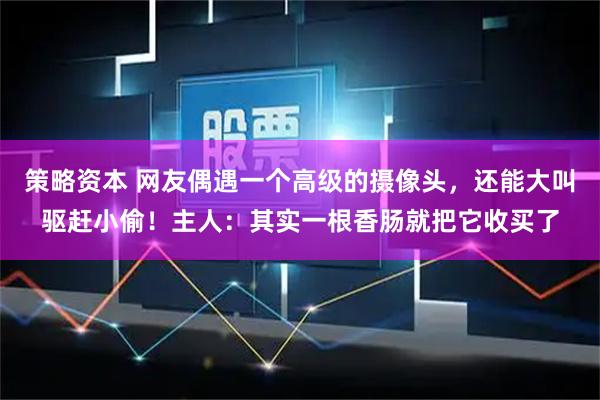 策略资本 网友偶遇一个高级的摄像头，还能大叫驱赶小偷！主人：其实一根香肠就把它收买了