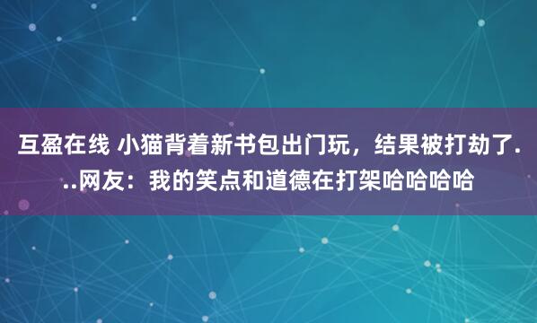 互盈在线 小猫背着新书包出门玩,结果被打劫了...网友:我的笑点和道德在打架哈哈哈哈